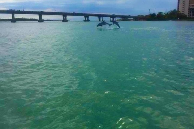 a bridge over a body of water