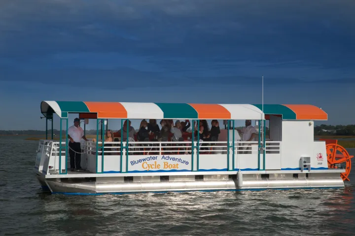 a close up of an umbrella on a beach