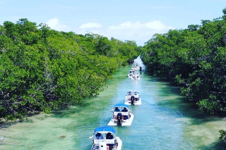 Row of motorboats navigating through a narrow mangrove-lined waterway.